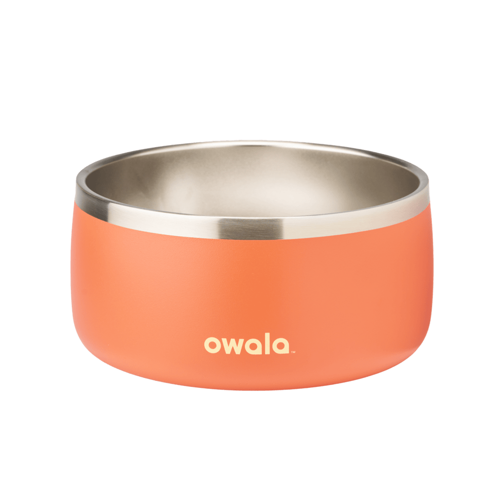 Pet Bowl Bundle